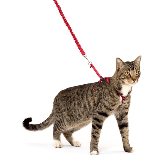 PetSafe Come With Me Kitty Harness and Bungee Leash