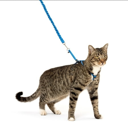 PetSafe Come With Me Kitty™ Harness and Bungee Leash, Large, Royal - Image 5