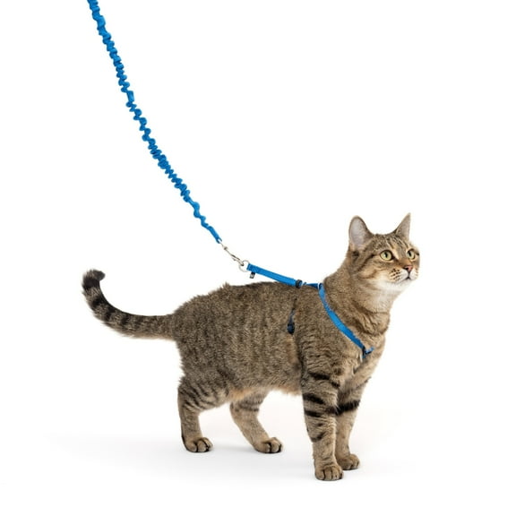 PetSafe Come With Me Kitty Harness and Bungee Leash