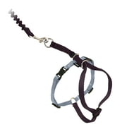 PetSafe Come With Me Kitty Harness and Leash for Cats, Adjustable, Large, Black