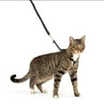 thumbnail image 1 of PetSafe Come With Me Kitty Harness and Leash for Cats, Adjustable, Large, Black, 1 of 6