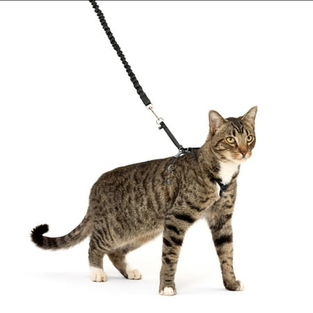 PetSafe Come With Me Kitty Harness and Leash for Cats, Adjustable, Large, Black