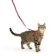 thumbnail image 1 of PetSafe Come With Me Kitty Harness and Leash for Cats, Adjustable, Medium, Red, 1 of 6