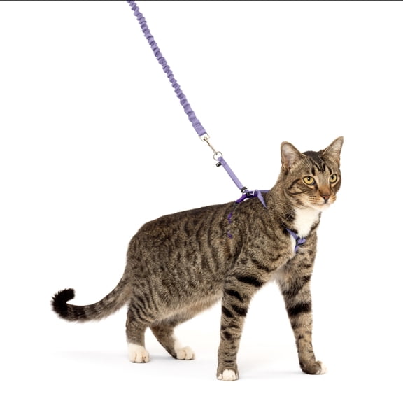 PetSafe Come With Me Kitty Harness and Bungee Leash