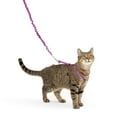 thumbnail image 1 of PetSafe Come With Me Kitty Harness and Bungee Leash, 1 of 6