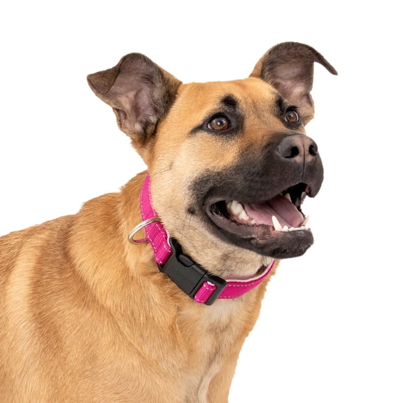 PetSafe Comfort Dog Collar – Adjustable Fit for Small, Medium and Large Dog Breeds – Reflective Stitching -- High-Quality Padded Materials – Built-in D-Ring – Medium, Pink