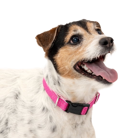 PetSafe Comfort Dog Collar – Adjustable Fit for Small, Medium and Large Dog Breeds – Reflective Stitching -- High-Quality Padded Materials – Built-in D-Ring – Small, Pink
