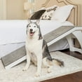 thumbnail image 1 of PetSafe CozyUp Bed Ramp for Dogs and Cats, Durable, Easy-to-Store, White, 1 of 7