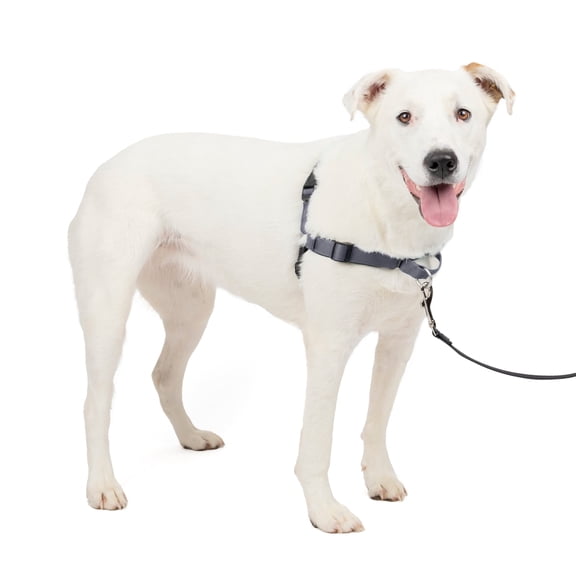 PetSafe Deluxe Easy Walk Dog Harness, No Pull Leash, prevents from Choking on Walks, Steele, M/L