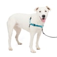 thumbnail image 1 of PetSafe Deluxe Easy Walk Dog Harness, No Pull Leash, prevents from Choking on Walks, Ocean, M/L, 1 of 7