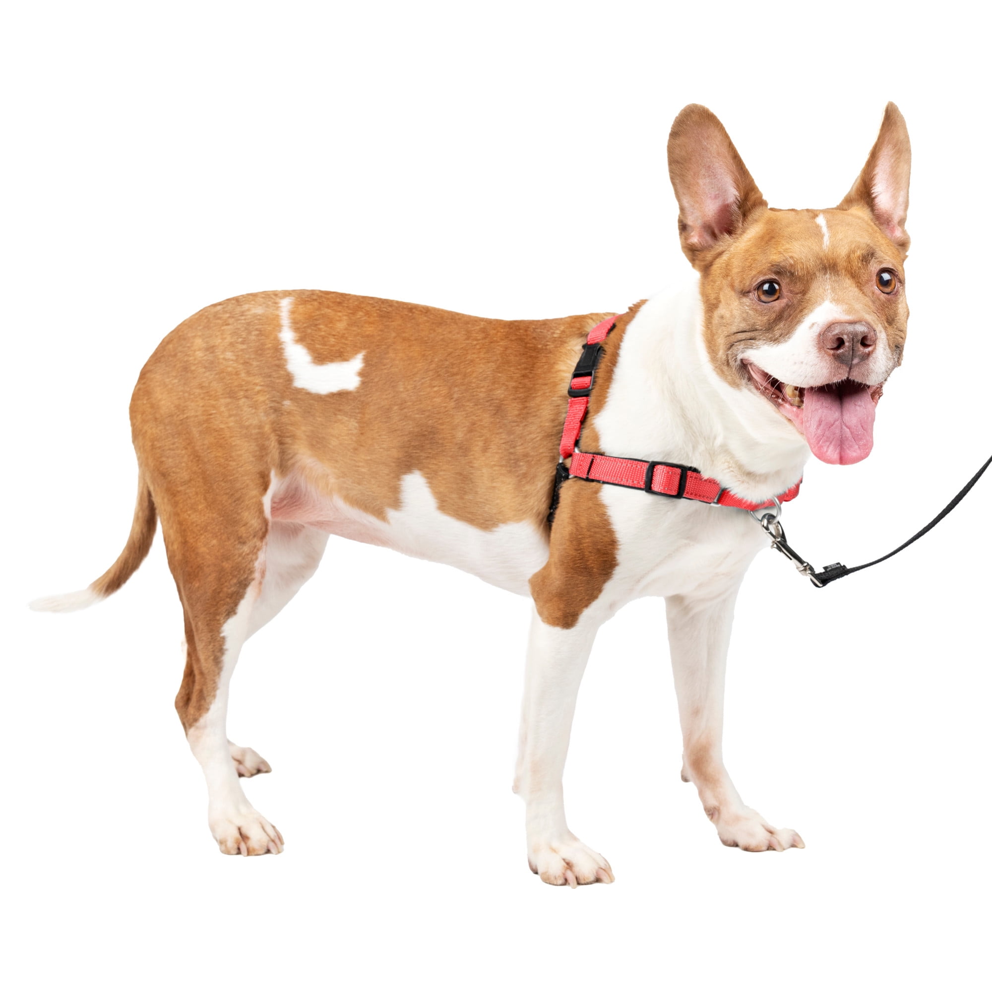 PetSafe Deluxe Easy Walk No Pull Harness, Rose, Medium