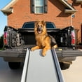 thumbnail image 1 of PetSafe Deluxe Telescoping Pet Ramp for Dogs & Cats, Portable, Lightweight, XL, 47 in - 87 in, Gray, 1 of 6