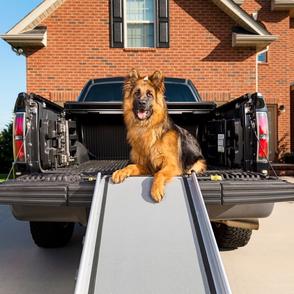 PetSafe Deluxe Telescoping Pet Ramp for Dogs & Cats, Portable, Lightweight, XL, 47 in - 87 in, Gray