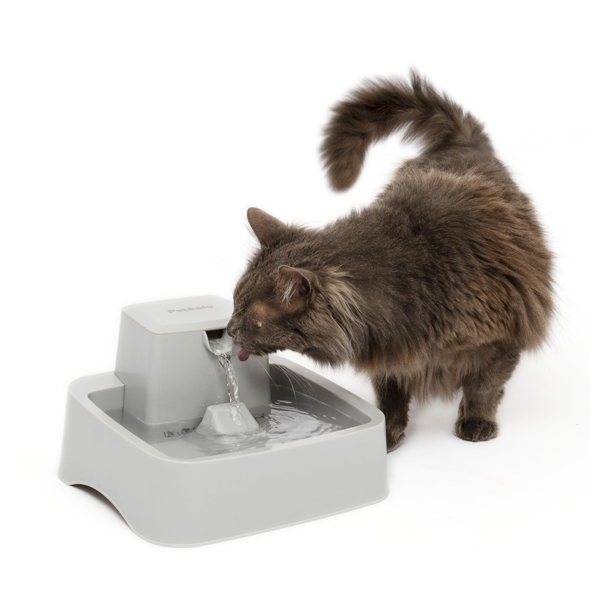 PetSafe Oasys 1/2 Gallon Pet Fountain, Dog and Cat Automatic Water Bowl - For Small Pets