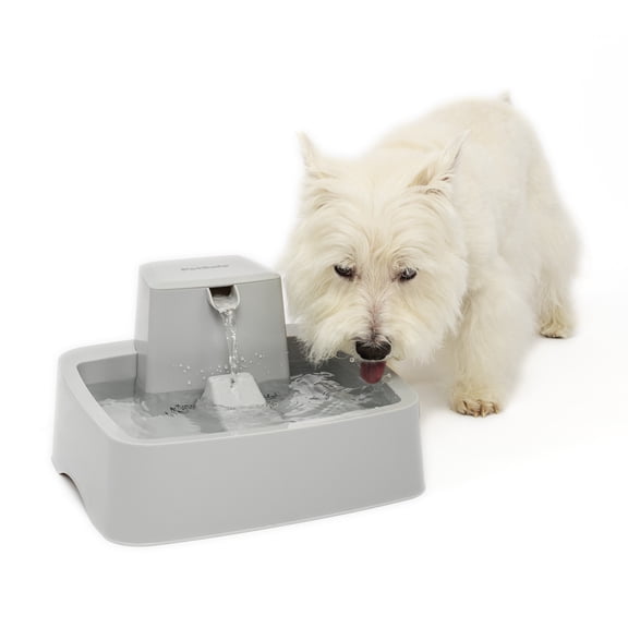 PetSafe Drinkwell 1 Gallon Pet Fountain - Automatic Dog and Cat Water Bowl