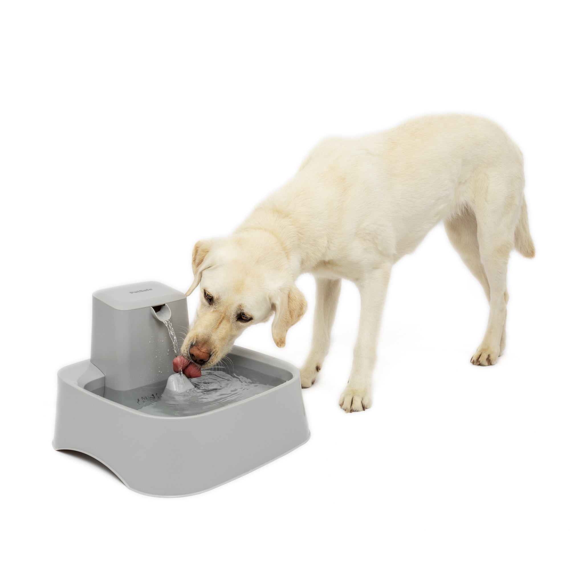 PetSafe Drinkwell 2 Gallon Fountain - Automatic Water Bowl for Large Dogs