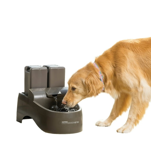 PetSafe Drinkwell Outdoor Dog Water Fountain - 450 oz