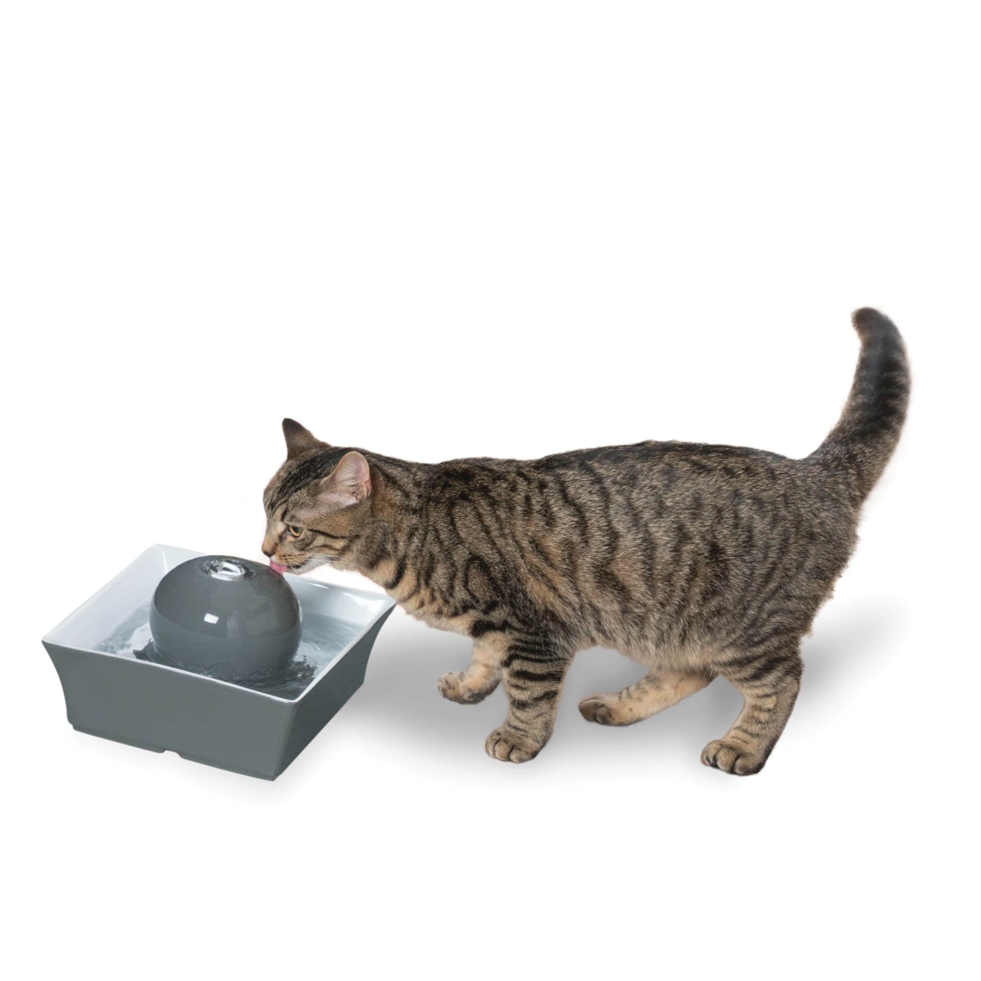 PetSafe Drinkwell Seascape Ceramic Pet Fountain, Dog & Cat Water Bowl, 70 oz