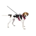 thumbnail image 1 of PetSafe EasySport Dog Harness, Adjustable, Padded and Reflective Piping, Large, Pink, 1 of 6