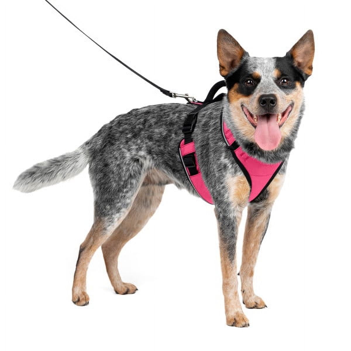 PetSafe EasySport Dog Harness, Adjustable, Padded and Reflective Piping, Medium, Pink