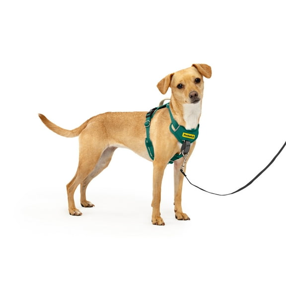 PetSafe Easy Walk Comfort No-Pull Dog Harness, 5 Adjustement points, XS, Green