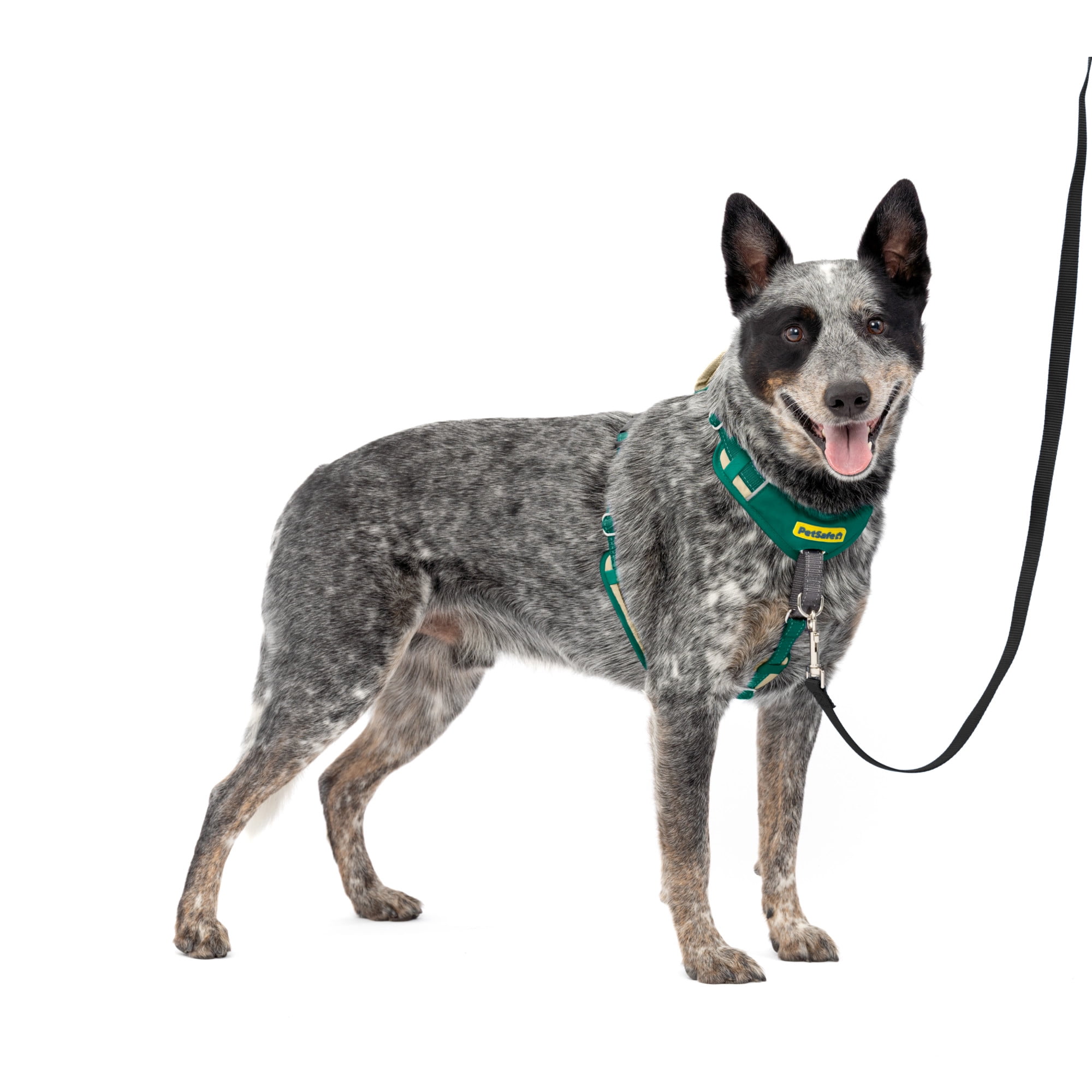 PetSafe Easy Walk Comfort No-Pull Dog Harness, 5 Adjustement points, M/L, Green