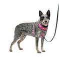 thumbnail image 1 of PetSafe Easy Walk Comfort No-Pull Dog Harness, 5 Adjustement points, M/L, Pink, 1 of 9