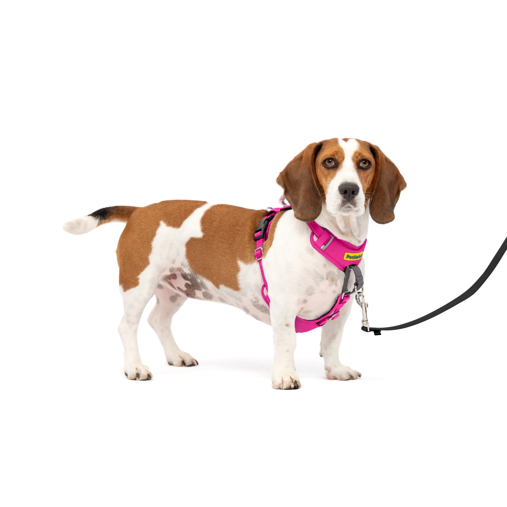 PetSafe Easy Walk Comfort No-Pull Dog Harness, 5 Adjustement points, S/M, Pink