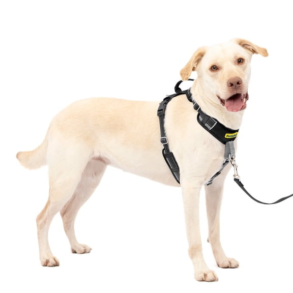 PetSafe Easy Walk Comfort No-Pull Dog Harness, 5 Adjustement points, Large, Black