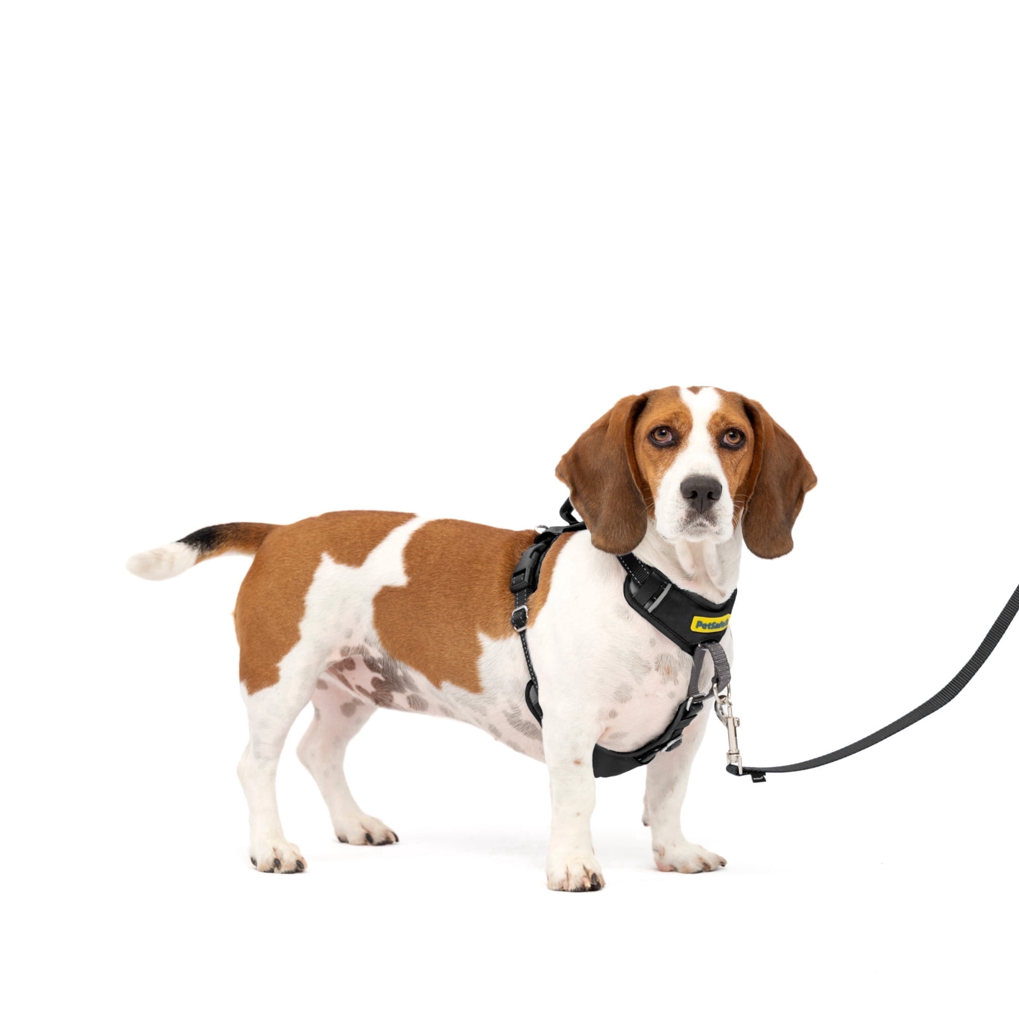 PetSafe Easy Walk Comfort No-Pull Dog Harness, 5 Adjustement points, S/M, Black