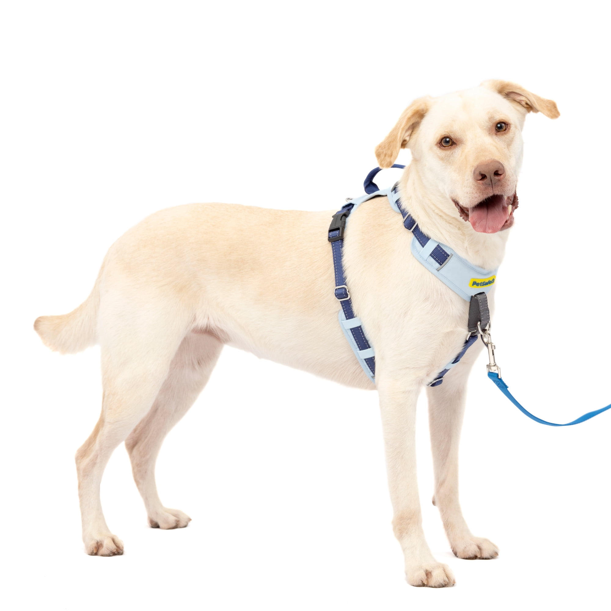 PetSafe Easy Walk Comfort No-Pull Dog Harness, 5 Adjustement points, Large, Blue
