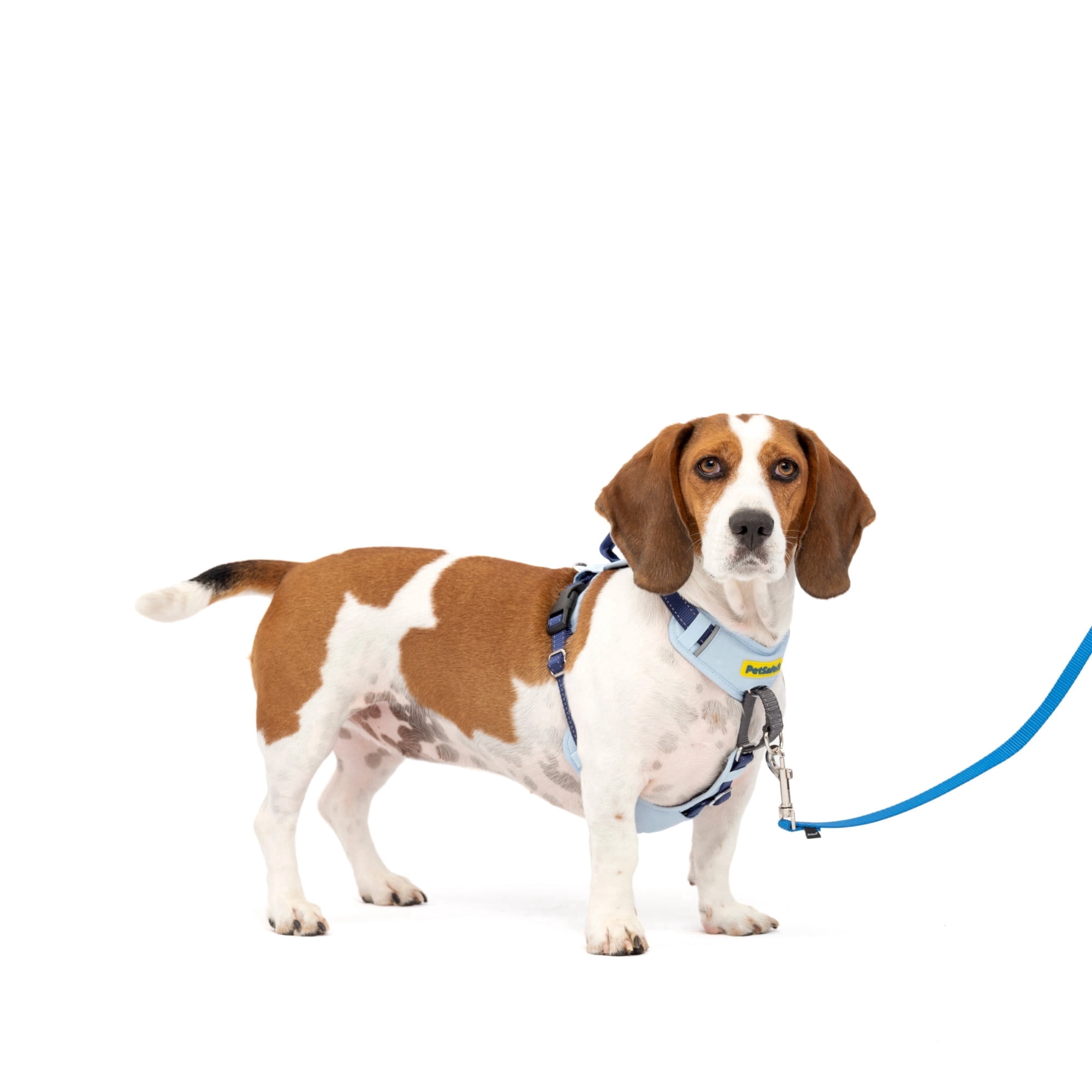 PetSafe Easy Walk Comfort No-Pull Dog Harness, 5 Adjustement points, S/M, Blue
