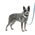 thumbnail image 1 of PetSafe Easy Walk Comfort No-Pull Dog Harness, 5 Adjustement points, M/L, Blue, 1 of 8