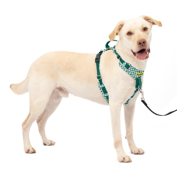 PetSafe Easy Walk Comfort No-Pull Dog Harness - High-Quality Padding - Better Walks on 1st Use - 5 Points of Adjustment for Perfect Fit - Large, Green Gingham