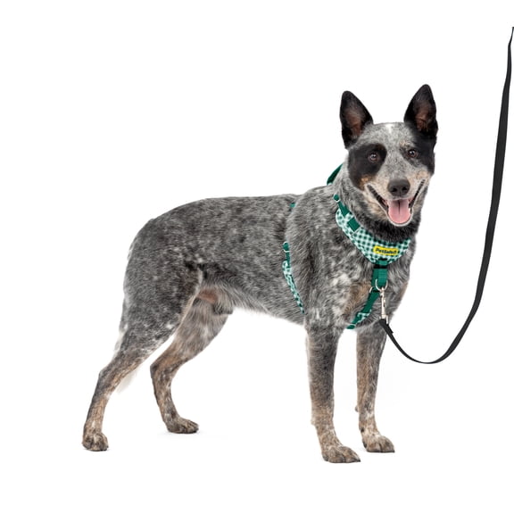 PetSafe Easy Walk Comfort No-Pull Dog Harness - High-Quality Padding - Better Walks on 1st Use - 5 Points of Adjustment for Perfect Fit - Medium, Green Gingham