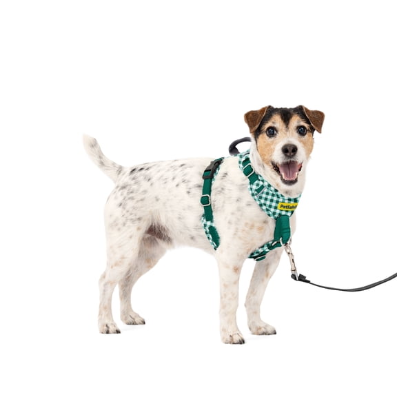 PetSafe Easy Walk Comfort No-Pull Dog Harness - High-Quality Padding - Better Walks on 1st Use - 5 Points of Adjustment for Perfect Fit - Small, Green Gingham