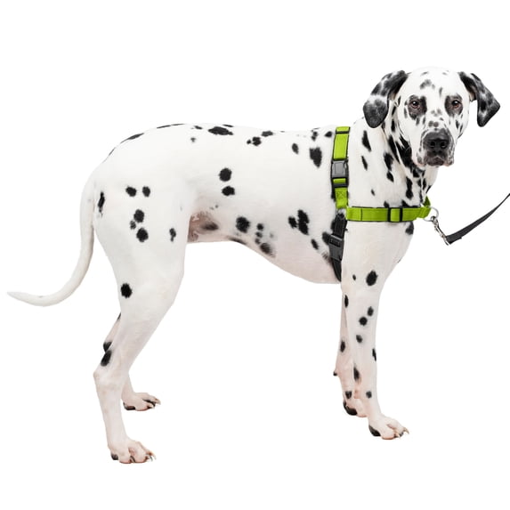 PetSafe Easy Walk Dog Harness, No Pull Leash, prevents from Choking on Walks, Red, L
