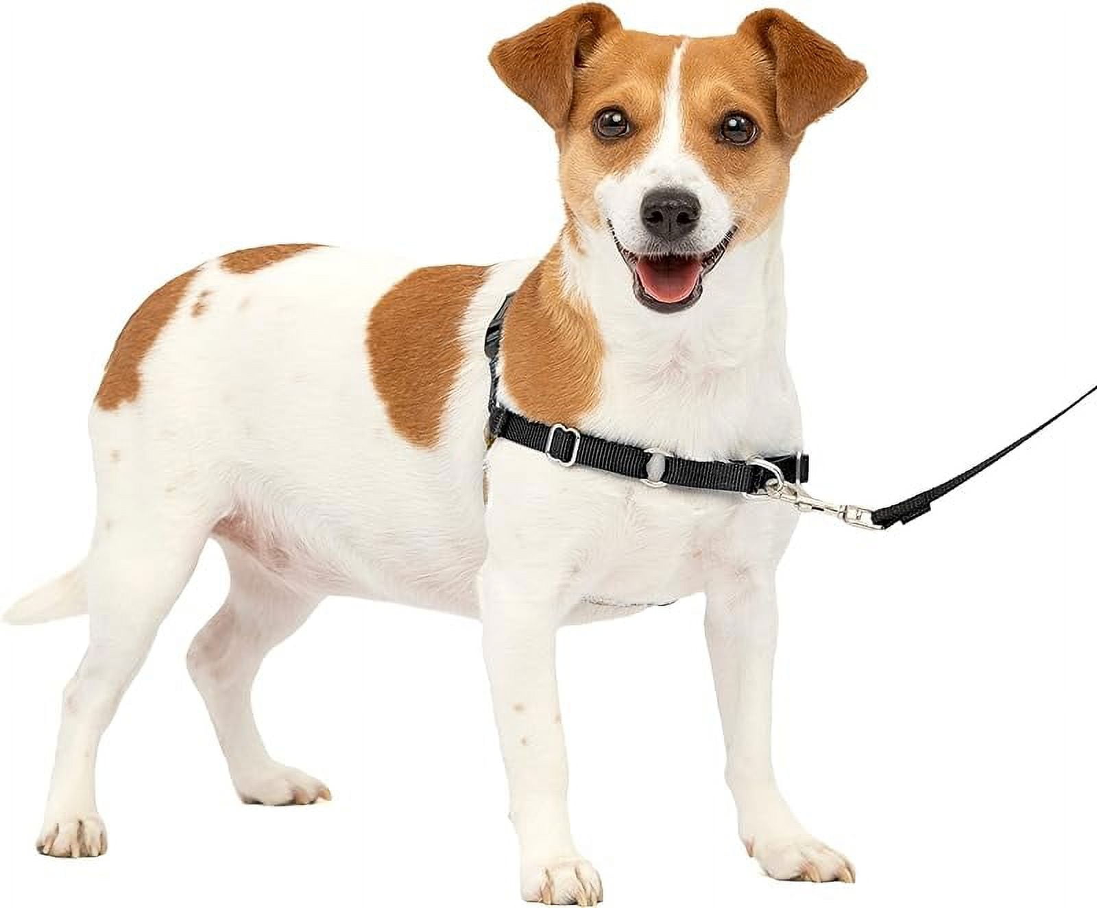 PetSafe Easy Walk Dog Harness Stop Pulling & Teach Leash Manners