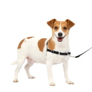 PetSafe Easy Walk Dog Harness, No Pull Leash, prevents from Choking on Walks, Black, S
