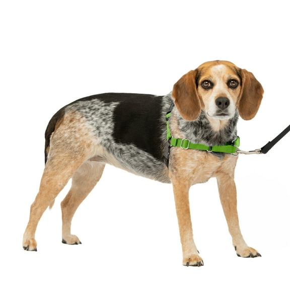 PetSafe Easy Walk Dog Harness, No Pull Leash, prevents from Choking on Walks, Apple, S/M