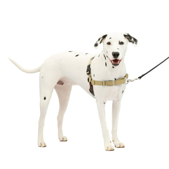 PetSafe Easy Walk Dog Harness, No Pull Leash, prevents from Choking on Walks, Fawn, M/L