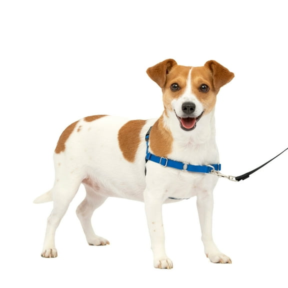 PetSafe Easy Walk Dog Harness, No Pull Leash, prevents from Choking on Walks, Royal Blue, S