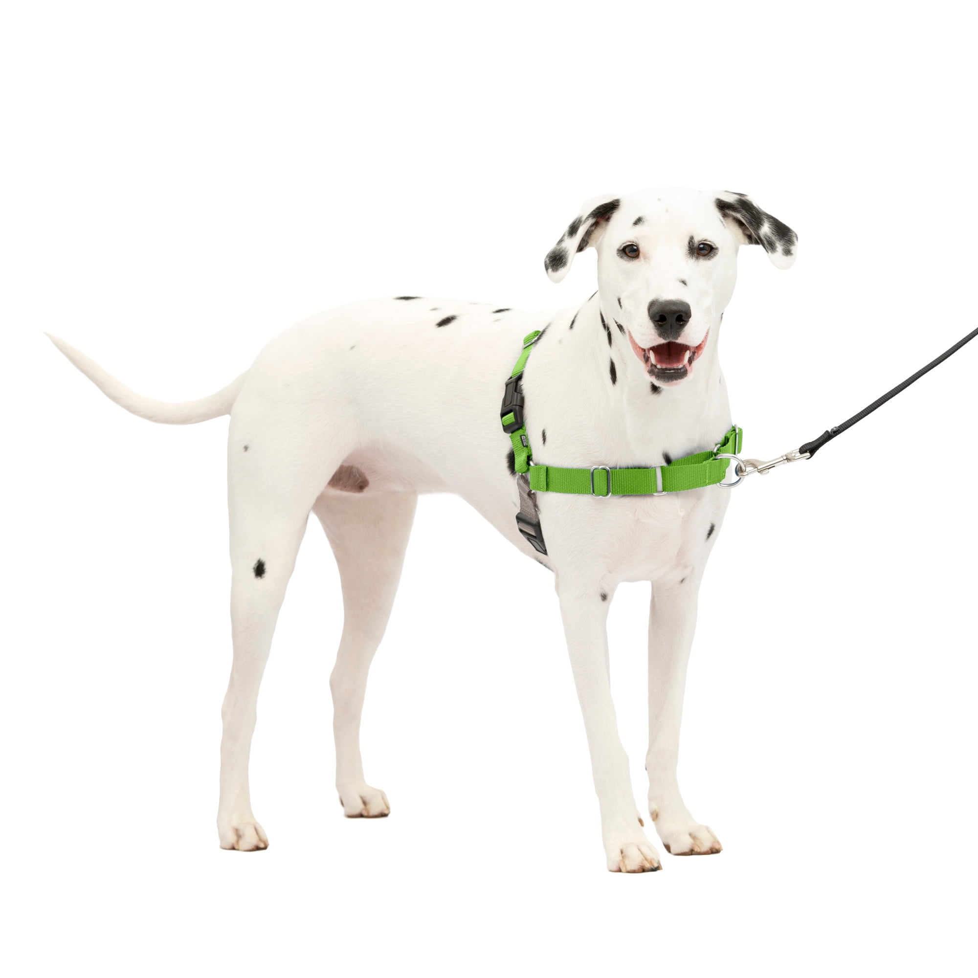 PetSafe Easy Walk No Pull Dog Harness Perfect for Leash Harness Training Walmart