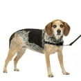 thumbnail image 1 of PetSafe Easy Walk No-Pull Dog Harness  Perfect for Leash & Harness Training, 1 of 7