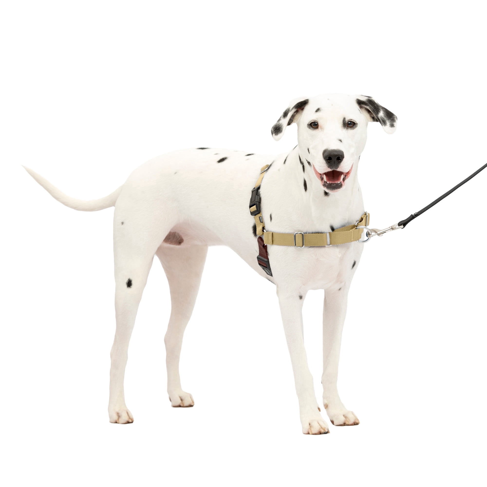 PetSafe Easy Walk Dog Harness, No Pull Leash, prevents from Choking on Walks, Fawn, M/L