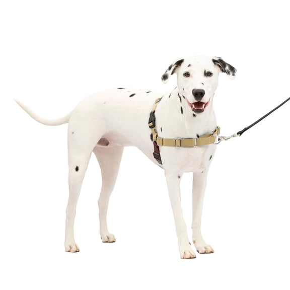 PetSafe Easy Walk Dog Harness, No Pull Leash, prevents from Choking on Walks, Fawn, M/L