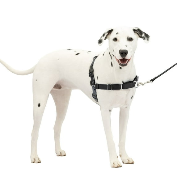 PetSafe Easy Walk No-Pull Dog Harness Perfect for Leash & Harness Training