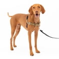 thumbnail image 1 of PetSafe Easy Walk Dog Harness, No Pull Leash, prevents from Choking on Walks, Fawn, M, 1 of 7