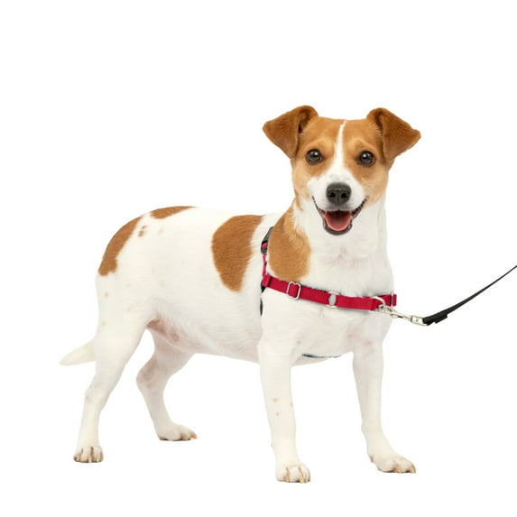 PetSafe Easy Walk Dog Harness, No Pull Leash, prevents from Choking on Walks, Red, S