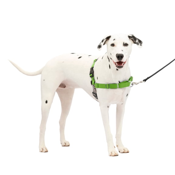 PetSafe Easy Walk Dog Harness, No Pull Leash, prevents from Choking on Walks, Apple, M/L